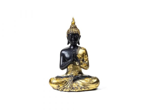 Modlící se Buddha.